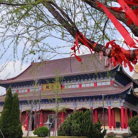 春日游金山寺