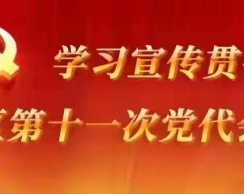 市特校党支部开展学习自治区第十一次党代会精神主题党日