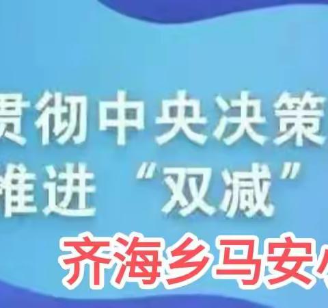 落实“双减”和“五项管理”促发展———齐海乡马安小学