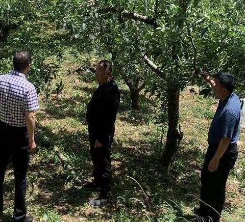 参观苹果种植基地，探讨社区教育举措