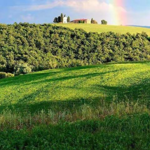 关注核心素养，打造魅力课堂