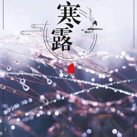 【岱溪节气课程】24节气之美——寒露篇