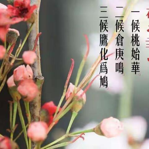 【万物始生长 惊蛰春意浓】 泰安师范附属学校分校—岱溪学校惊蛰节气课程