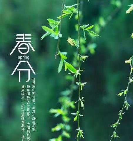 [春分时节昼夜平，气候宜人好时令］泰安师范附属学校-岱溪学校二十四节气春分课程