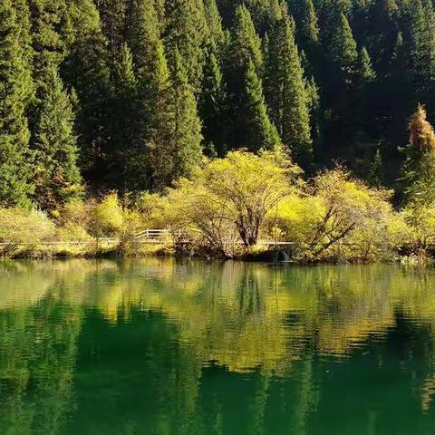 2021.10.4—8国庆自驾唐家河、牟泥沟（五天四晚）