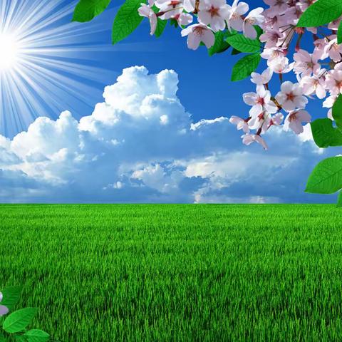 春天，向快乐和幸福出发
