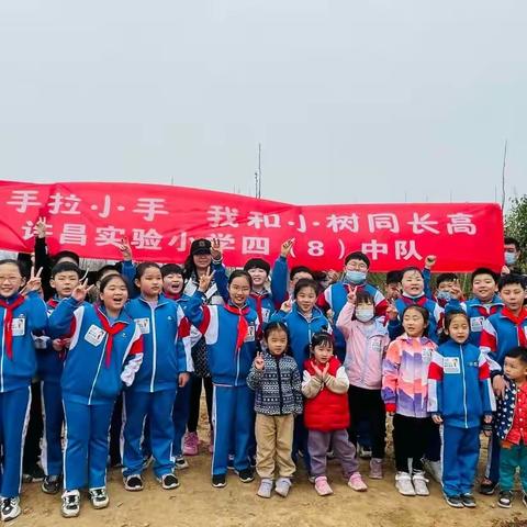 向下扎根，向上生长，茁壮成长，不负春光——实验小学四（8）班植树节活动