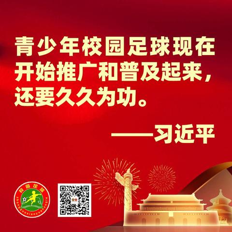 以足球为名不负昭华