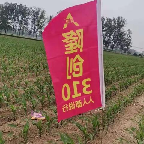 示范看得见，就有粉丝团！