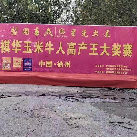 2023-2024年度隆创褀华玉米牛人高产王大奖赛—徐州站