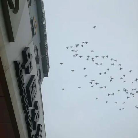 厦门～鼓浪屿～土楼～印象