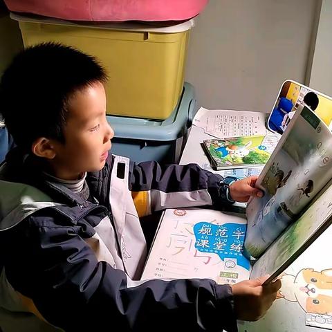 静静如小雪，陪伴细无声延宝第十二丶十三周周记