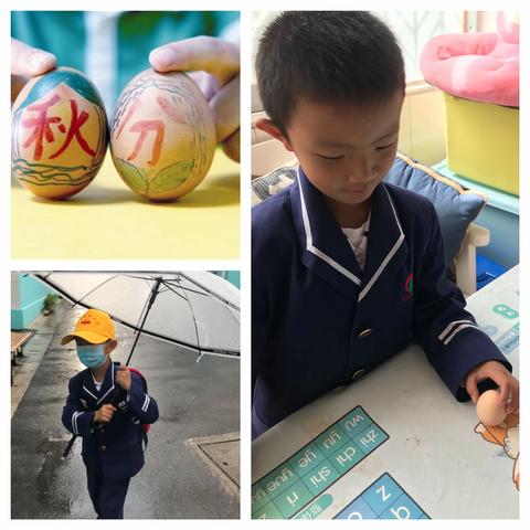 秋分至，稻谷香延宝第四、五周周记