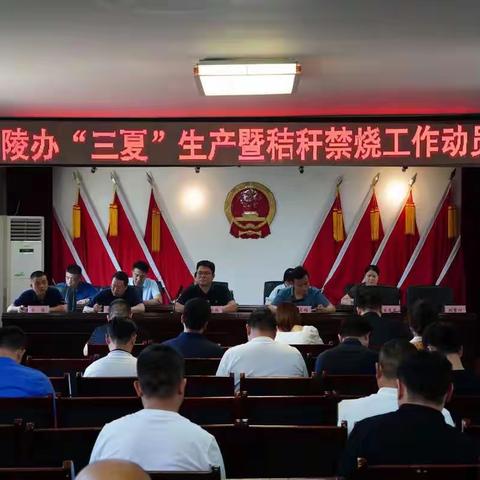 西咸新区周陵办召开2022年“三夏”生产暨秸秆禁烧工作动员会
