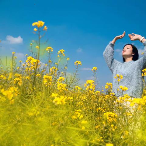 阳光正暖,花儿正艳