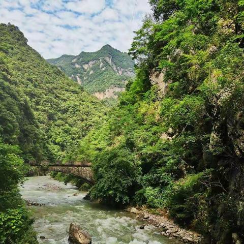 拨云见天，树比山高，三面环山，一座独桥