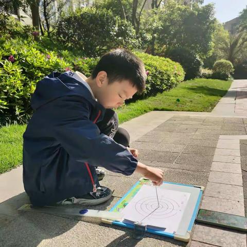 观察太阳下物体的影子