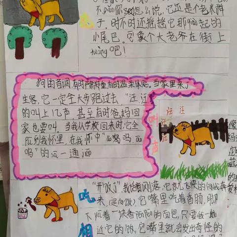 一次特殊的作业