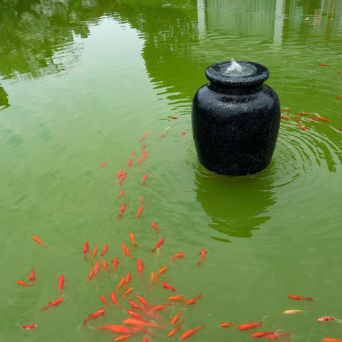 初探《后乐园》