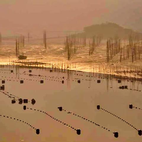 闽东海岸线随拍