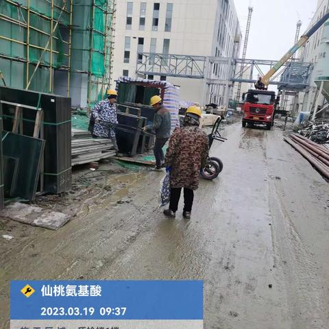 2023年3月19日工作日志