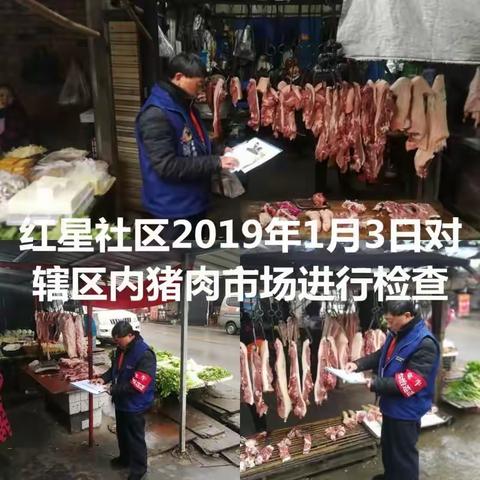 天回镇街道2019年1月3日非洲猪瘟防控工作情况