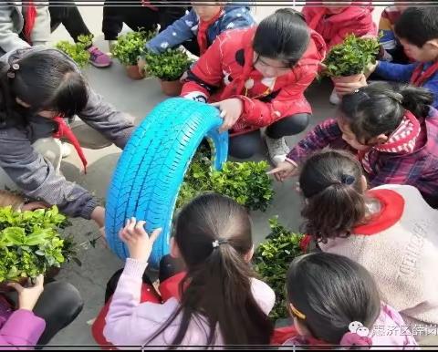 让绿色深入人心 让环保成为自觉——惠济区薛岗小学迎接郑州市“绿色校园”创建验收