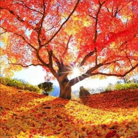 研教结合      智慧同行－－记2020-2021学年度一年级数学科组第一学期教研活动总结