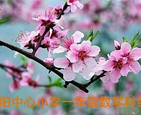教中显研 研中有教——向阳小学一年级数学组4月份教研小结