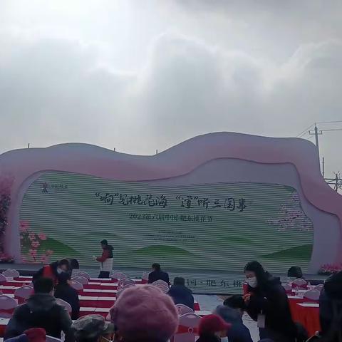 2023第六届中国·肥东响导乡桃花节
