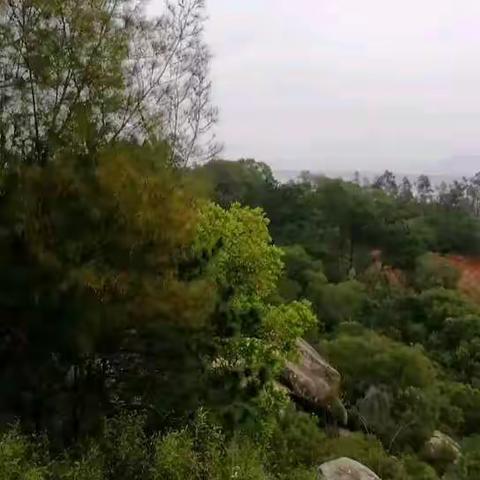 登顶烟墩山