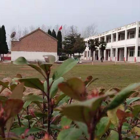 抗击疫情，我们在行动！记朱屯小学防控新冠病毒清洁校园活动