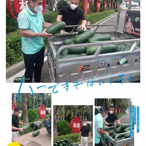 文罗民政为困难群众发放生活物资