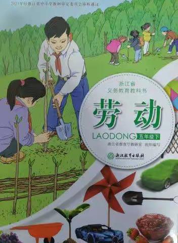 劳动课--开心小组样样行！