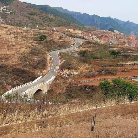 山野春风