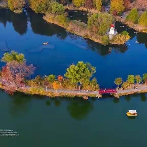跟着书本去旅行——致远外小四年级语文组“中山植物园”语文实践活动