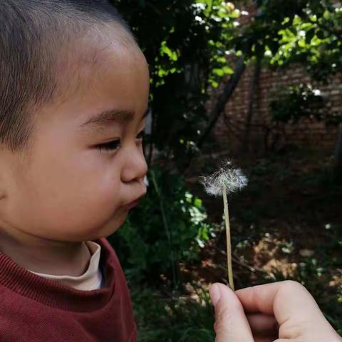 刘子睿小朋友成长记录———和爷爷奶奶在老家的日子