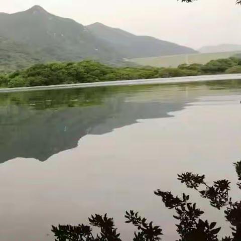 深圳南澳东涌湖光山色度假村