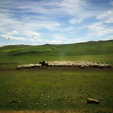 我和草原有个约定