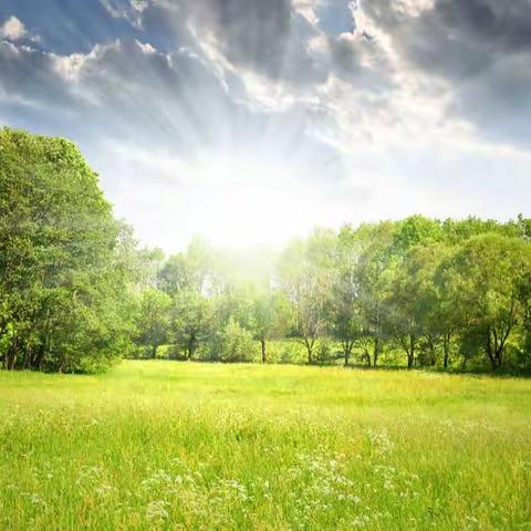 寻找春天的足迹