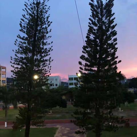 我的网课心得体会