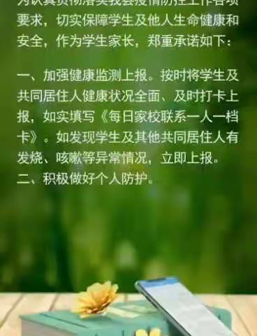 创意图文的美篇