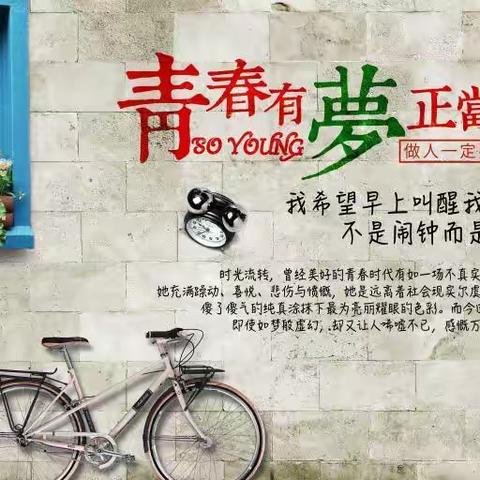 不负相遇，青春有你:这一年我们一起走过——神农中小学七（4）班年度回顾😊