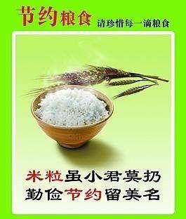 节约粮食，你我共行！一——沈家营小学节约粮食主题活动