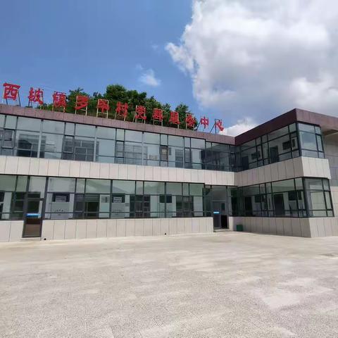 ——中共西坡镇罗毕村党支部迎“七一”庆祝建党102周年主题党日活动纪实