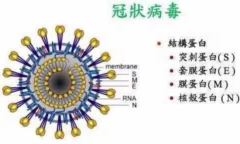 【温馨提示】新茁幼儿园关于新型冠状病毒感染预防提醒通知