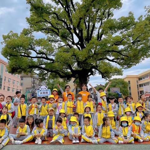 “你好！小学”——幼小衔接系列活动