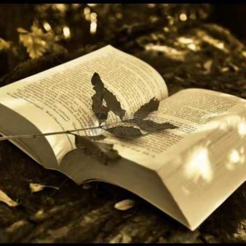 醉心阅读沐书香——记夏都学校小学部寒假阅读活动