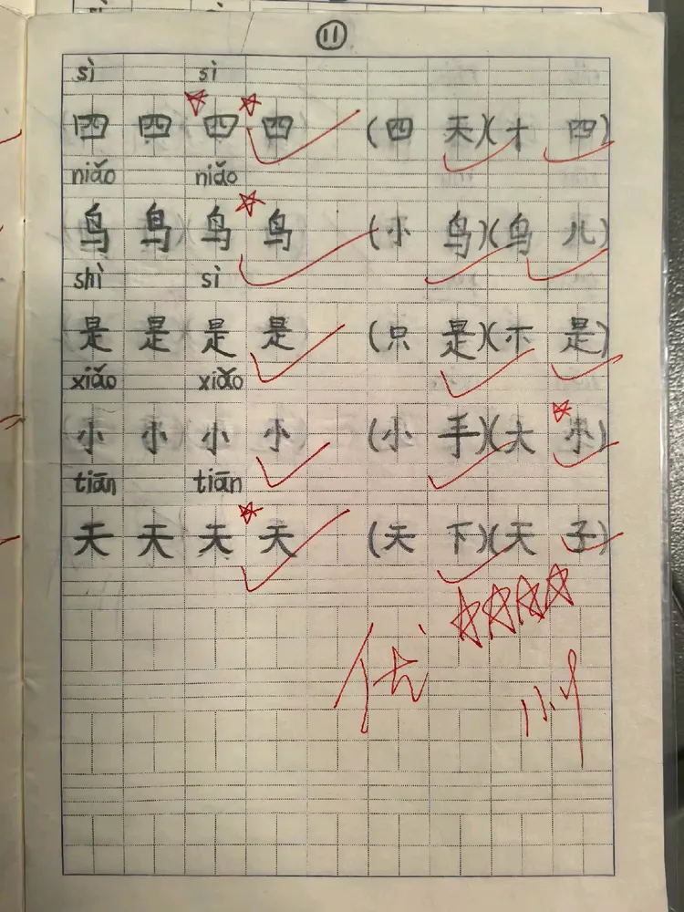 生字本书写展示