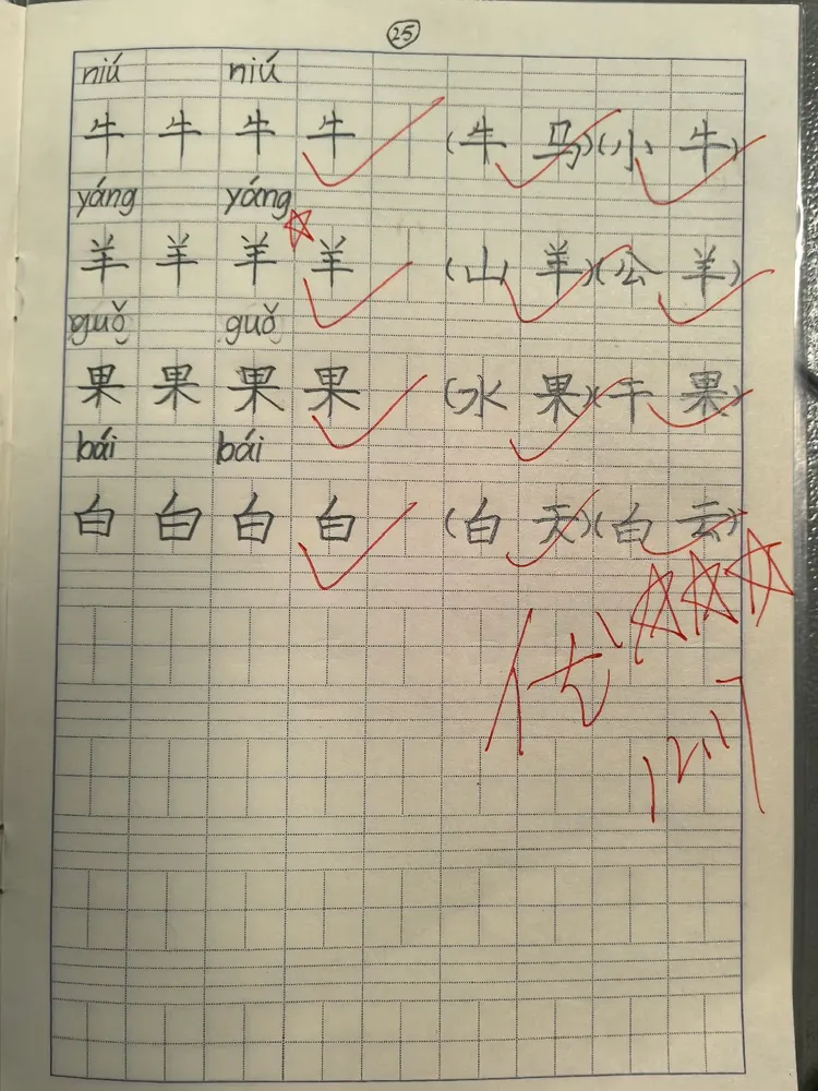 生字本书写展示